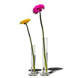 Load image into Gallery viewer, Puebco Beakers