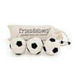Load image into Gallery viewer, Eco Dryer Balls
