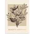 Load image into Gallery viewer, Punch Studio Boxed Cards