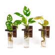 Load image into Gallery viewer, Modern Botanical Wall Hanger