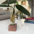 Load image into Gallery viewer, Modern Botanical- Grow Cube
