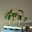 Load image into Gallery viewer, Concrete 3 tube propagation station- Linda Makess