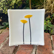 Load image into Gallery viewer, In the Field Plate Series