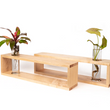Load image into Gallery viewer, Modern Botanical- Grow Shelves