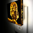 Load image into Gallery viewer, boyDesigns-Deluxe Night Light-7583