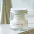 Load image into Gallery viewer, No Tox Life-Eucalyptus Shower Streamers-8124
