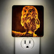 Load image into Gallery viewer, boyDesigns-Standard Night Light-7582