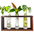 Load image into Gallery viewer, Modern Botanical- Triple Grow Frame-