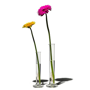 Puebco Beakers