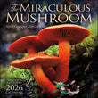 Load image into Gallery viewer, Simon &amp; Schuster Calendar 2026
