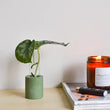 Load image into Gallery viewer, Propagation Stations -- Linda Makess
