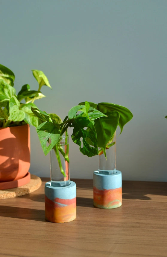 Propagation Stations -- Linda Makess