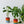 Load image into Gallery viewer, Propagation Stations -- Linda Makess
