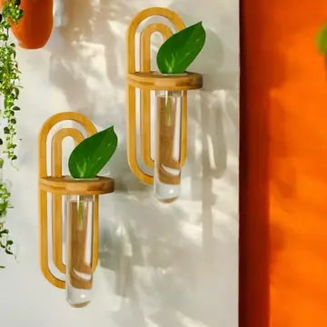 Bamboo Switch- Propagation Station