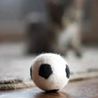 Load image into Gallery viewer, Mini Dryer Ball/ Dog or Cat Toy
