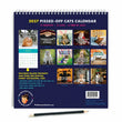 Load image into Gallery viewer, 2027 Pissed Off Cats Calendar
