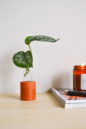Propagation Stations -- Linda Makess