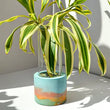 Load image into Gallery viewer, Linda Makess- Large Propagation Tubes
