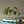 Load image into Gallery viewer, Concrete 3 tube propagation station- Linda Makess
