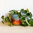 Load image into Gallery viewer, Rainbow Planter- Linda Makess
