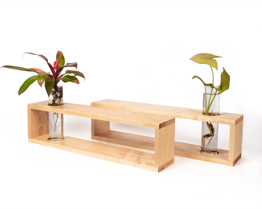 Modern Botanical- Grow Shelves