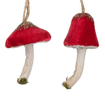 Velvet Mushroom