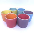 Load image into Gallery viewer, Forest Ceramics- tumblers and pints
