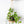 Load image into Gallery viewer, Aimee Weaver Designs Wooden Plant Hanger
