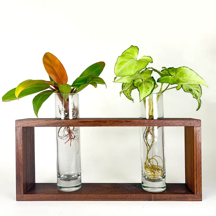 Modern Botanical- Double Grow Frame