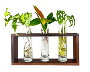 Modern Botanical- Triple Grow Frame-